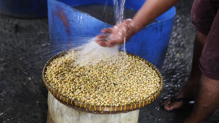 Pekerja membersihkan kedelai yang akan dibuat menjadi tahu di Duren Tiga, Jakarta, Jumat (24/11/2023). (Bloomberg Technoz/Andrean Kristianto)