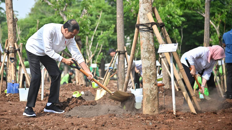 Presiden Jokowi melaksanakan penanaman pohon di Hutan Kota JIEP Kawasan Industri Pulogadung, Jakarta, Rabu (29/11/2023). (BPMI Setpres/Vico)