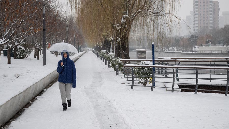Pejalan kaki di sepanjang trotoar yang tertutup salju di Beijing, China, Kamis (14/12/2023). (Bloomberg)
