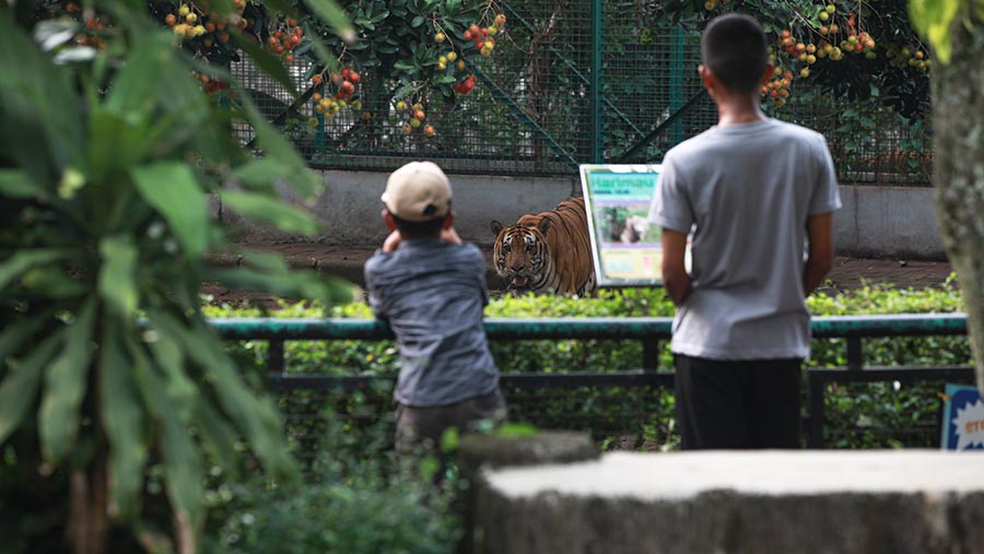 Pengunjung berwisata di Taman Margasatwa Ragunan, Jakarta, Senin (1/1/2024). Bloomberg Technoz/Andrean Kristianto)