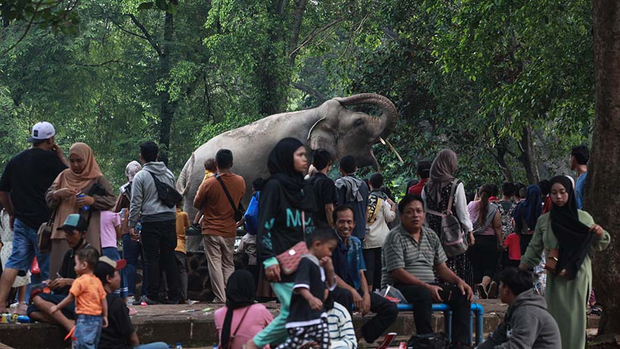 Pengunjung berwisata di Taman Margasatwa Ragunan, Jakarta, Senin (1/1/2024). Bloomberg Technoz/Andrean Kristianto)
