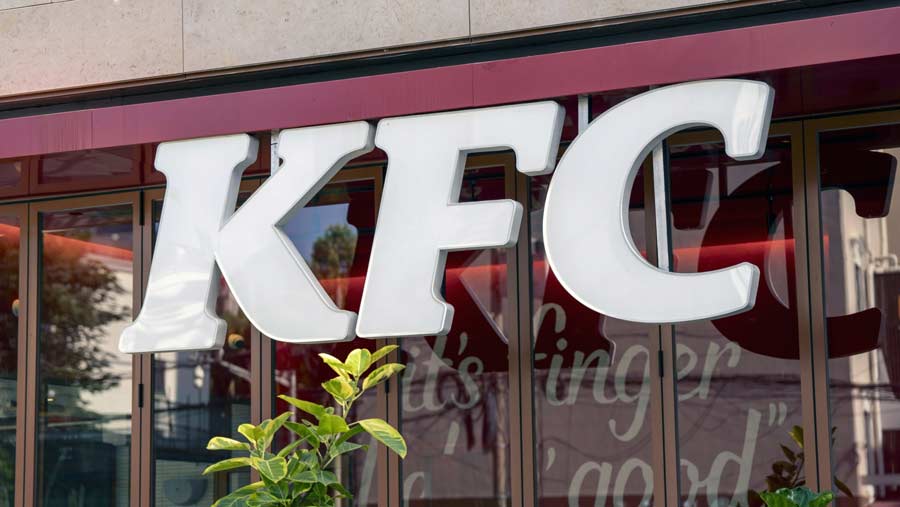 KFC (Dok. Bloomberg)