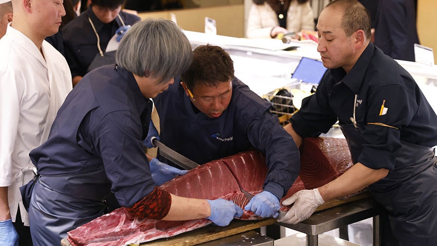 Harga untuk ikan tuna ini merupakan yang keempat tertinggi sejak catatan dimulai pada tahun 1999.  (Kiyoshi Ota/Bloomberg)