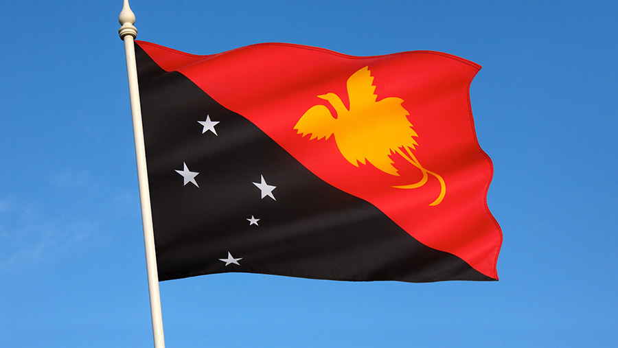 Bendera Papua Nugini. (Enavto/SteveAllenPhoto999)
