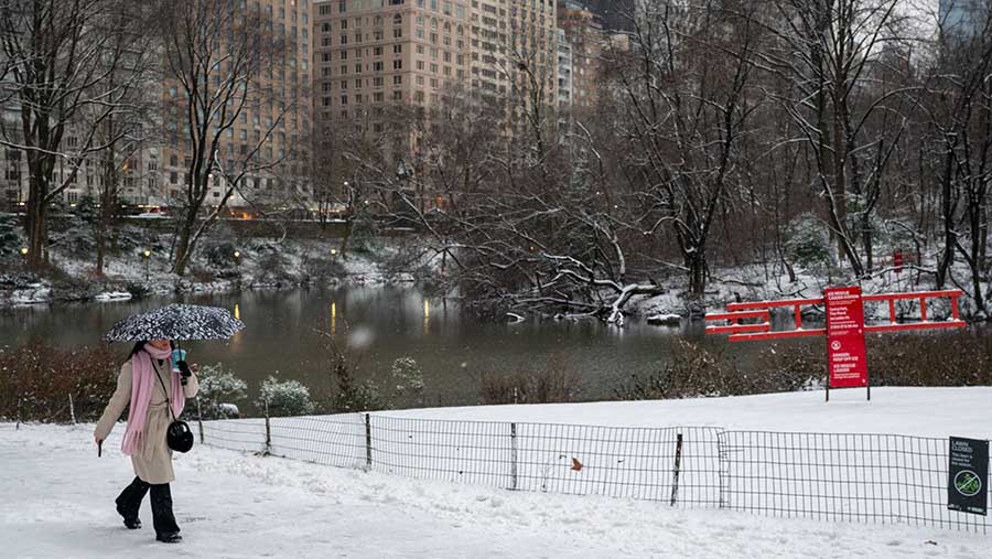 Hujan salju di New York sudah cukup mengakhiri periode hampir dua tahun tanpa salju setebal satu inci di Central Park. (David Dee Delgado/Bloomberg)