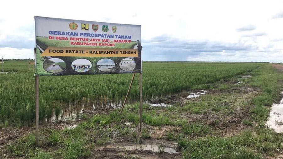 Proyek Food Estate di Kalimantan Tengah, 2021. (Foto: ekon.go.id)