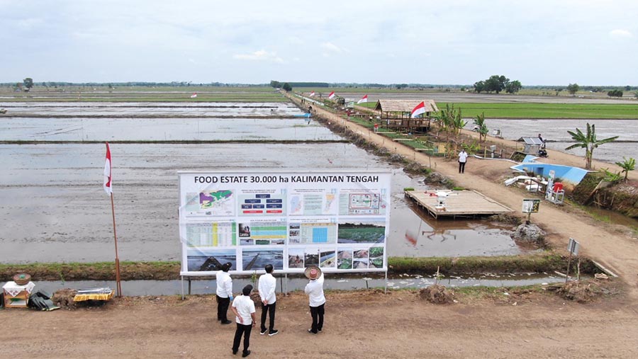 Presiden Jokowi meninjau lokasi pengembangan food estate atau lumbung pangan baru di Kalimantan Tengah, Kamis (8/10/2020). (Foto: BPMI Setpres)