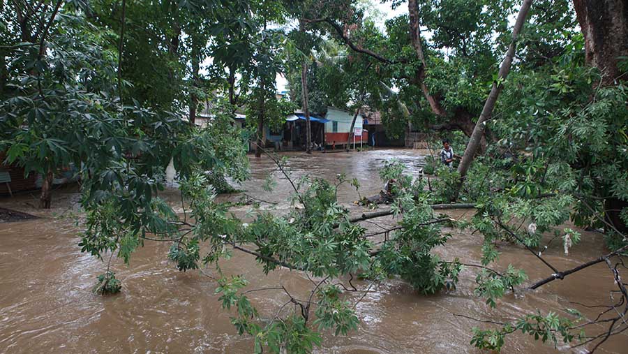 Banjir juga mengakibatkan tumbangnya pohon di sekitar lokasi. (Bloomberg Technoz/Andrean Kristianto)