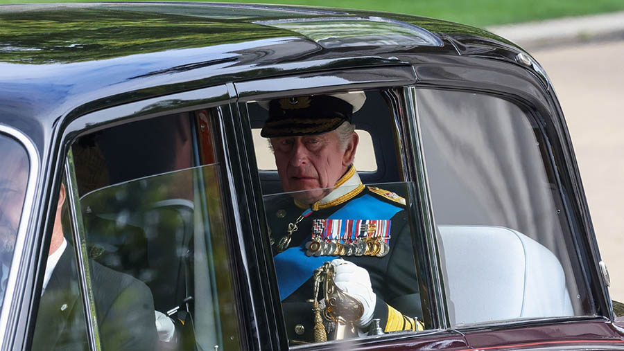 Raja Charles III. (Chris Ratcliffe/Bloomberg)