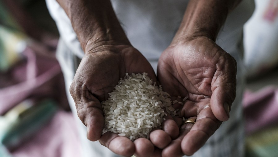 Segenggam beras./Bloomberg-Veejay Villafranca