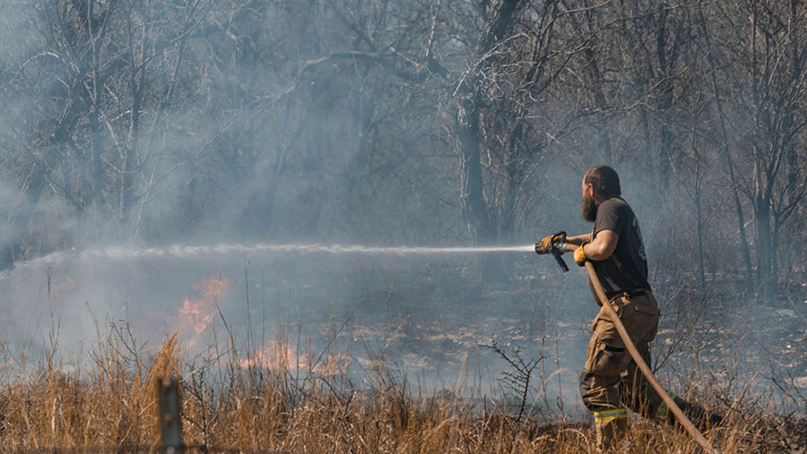 Kebakaran tersebut meluas hingga hampir 1,1 juta hektar (1.700 mil persegi). (Jordan Vonderhaar/Bloomberg)