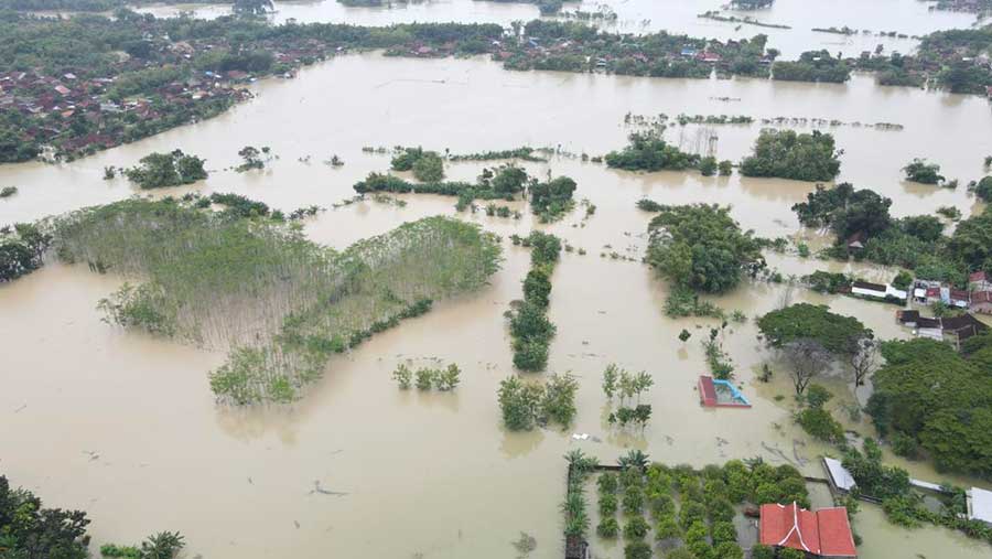 Foto udara area terdampak banjir di Kabupaten Grobogan, Jawa Tengah, Jumat (15/3). (BPBD Kabupaten Grobogan)