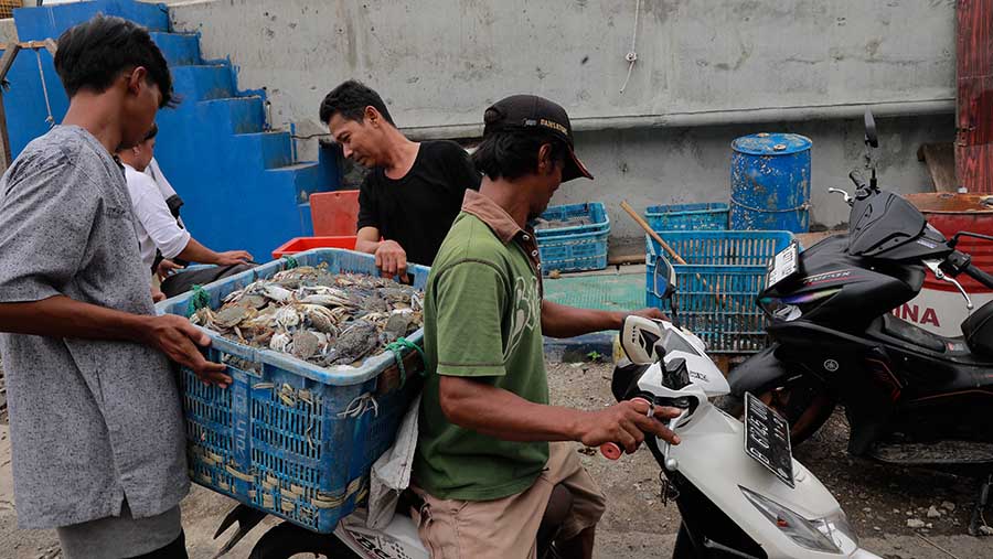 Hasil tangkapan nelayan menurun drastis dari biasanya karena enggan berlama di tengah laut. (Bloomberg Technoz/Andrean Kristianto)