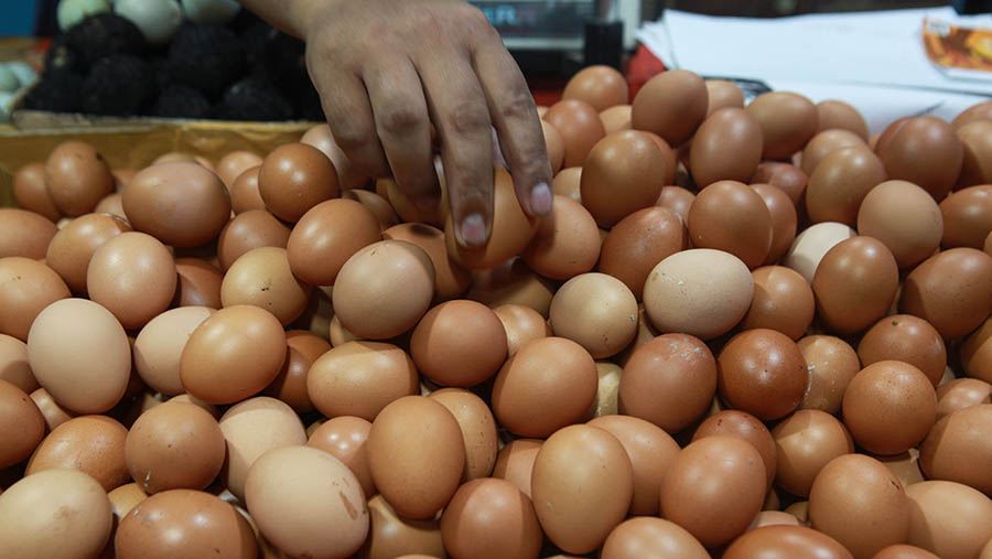 Namun ada juga yang mengalami penurunan seperti telur ayam dari Rp32.000 menjadi Rp31.000. (Bloomberg Technoz/Andrean Kristianto)
