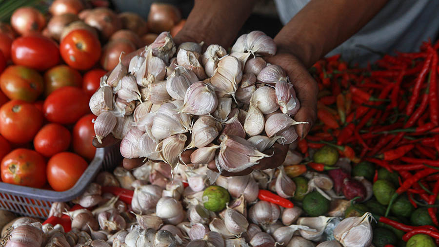 Pedagang merapihkan bawang putih di Pasar Kebayoran Lama, Jakarta, Senin (25/3/2024). (Bloomberg Technoz/Andrean Kristianto)
