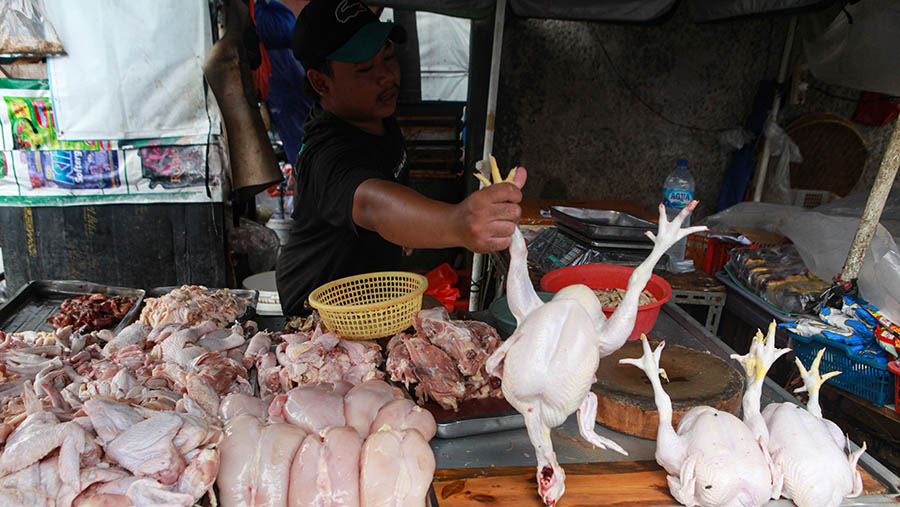 Pedagang merapihkan ayam di Pasar Kebayoran Lama, Jakarta, Senin (25/3/2024). (Bloomberg Technoz/Andrean Kristianto)