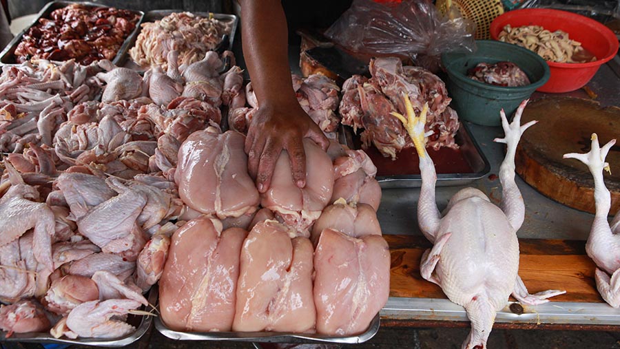 Pedagang merapihkan ayam di Pasar Kebayoran Lama, Jakarta, Senin (25/3/2024). (Bloomberg Technoz/Andrean Kristianto)