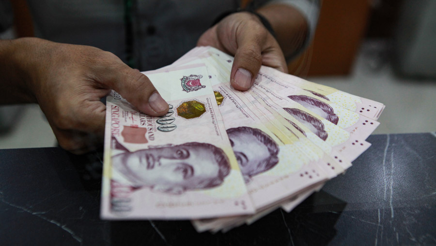 Pekerja menghitung dolar Singapura di salah satu gerai penukaran uang asing di Jakarta, Senin (1/4/2024). (Bloomberg Technoz/Andrean Kristianto)