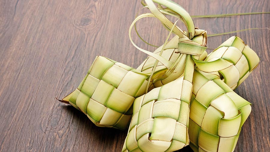 Ilustrasi ketupat. (Envato/tyasindayanti)