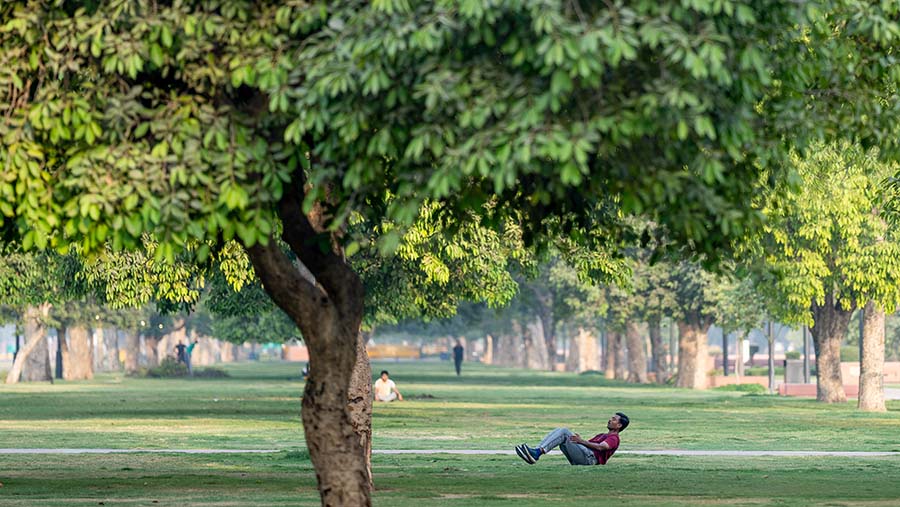 Seorang pria berolahraga di bawah pohon saat suhu tinggi di New Delhi, India, Sabtu (18/5/204). (Anindito Mukherjee/Bloomberg)