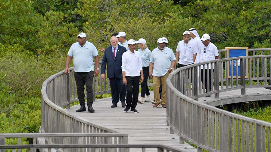Presiden Jokowi berjalan saat mengunjungi Taman Hutan Raya (Tahura) Ngurah Rai, Bali, Senin (20/5/2024). (Medcen WWF 2024/Maulana Surya)