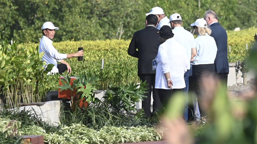 Presiden Jokowi mengajak para delegasi World Water Forum ke-10 mengunjungi mangrove di Tahura Ngurah Rai, Bali  (Medcen WWF 2024/Wahdi Septiawan)