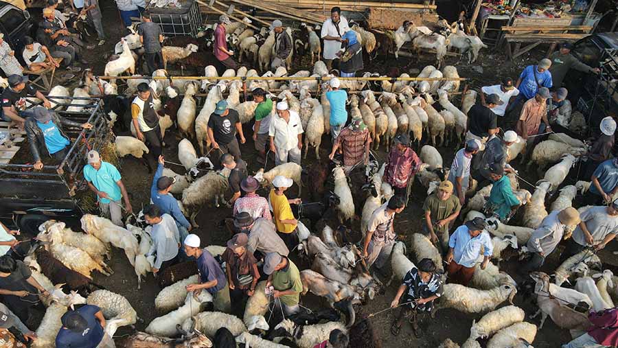 Pedagang menjajakan kambing dan domba jelang kurban di Pasar Hewan Jonggol, Jawa Barat, Kamis (30/5/2024). (Bloomberg Technoz/Andrean Kristianto)