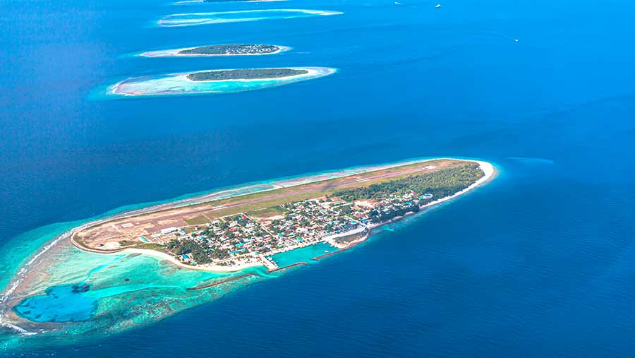 Foto Maldives (Envato/wirestock)