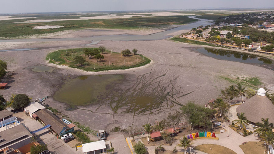Laguna Champayan yang mengering di Altamira, Tamaulipas, Meksiko, Jumat (7/6/2024). (Mauricio Palos/Bloomberg)