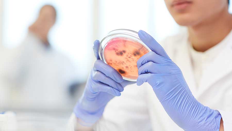 Ilustrasi stem cell (Envato/Media_photos)