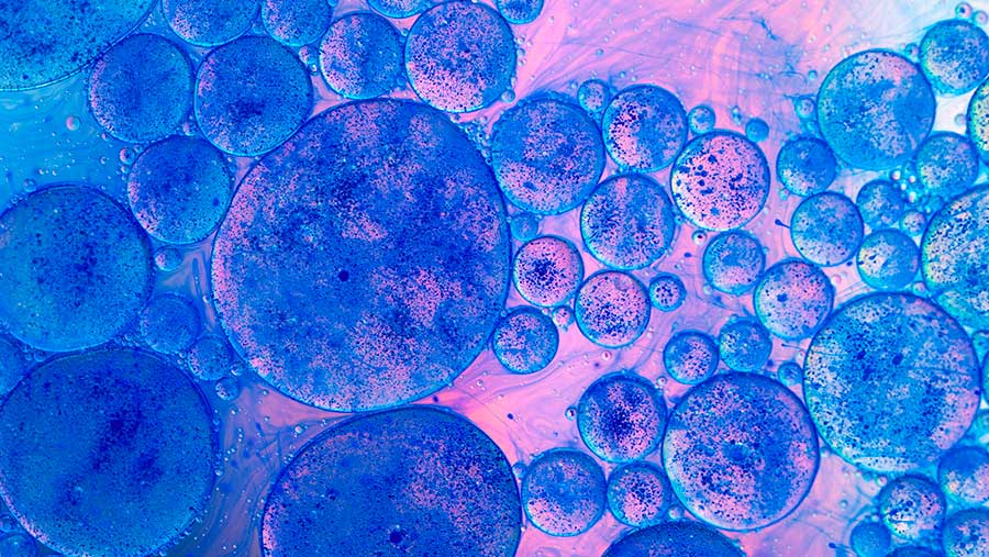 Ilustrasi stem cell (Envato/shotsstudio)
