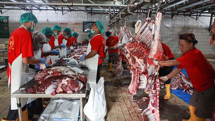 Pekerja memotong daging hewan kurban yang disembelih di RPH Perumda Dharma Jaya, Jakarta, Senin (17/6/2024). (Bloomberg Technoz/Andrean Kristianto)