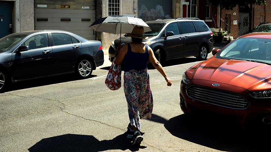 Suhu panas yang paling tinggi kemungkinan akan terjadi di seluruh New England (Joseph Lamberti/Bloomberg)