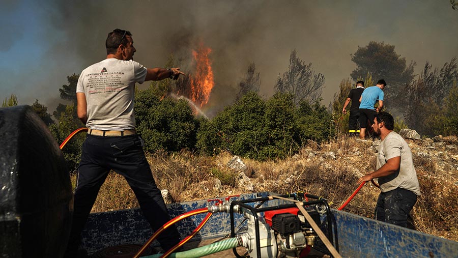Dua kebakaran hutan besar terjadi di dekat ibu kota Yunani pada hari Minggu. (Nick Paleologos/Bloomberg)