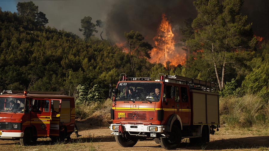 Mobil pemadam kebakaran saat kebakaran hutan di dekat kota Stamata, timur laut Athena, Yunani, Minggu (30/6/2024). (Nick Paleologos/Bloomberg)
