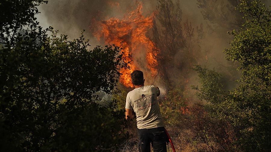 Insiden ini menyebabkan rumah-rumah terbakar dan perintah evakuasi, (Nick Paleologos/Bloomberg)