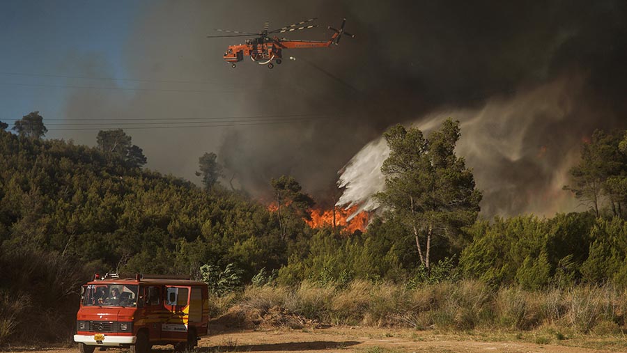 Puluhan petugas pemadam dengan pesawat dan helikopter berusaha keras untuk menahan api. (Nick Paleologos/Bloomberg)