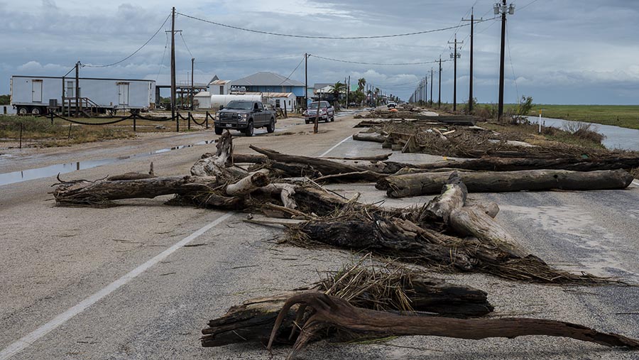 Beryl, badai Kategori 1 yang melanda Texas pada Senin pagi, telah menewaskan 11 orang dalam amukan selama seminggu di Karibia. (Eddie Seal/Bloomberg)