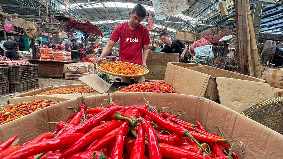 Pedagang merapihkan cabai merah besar dan cabai rawit di Pasar Kramat Jati, Jakarta, Rabu (10/7/2024). (Bloomberg Technoz/Andrean Kristianto)