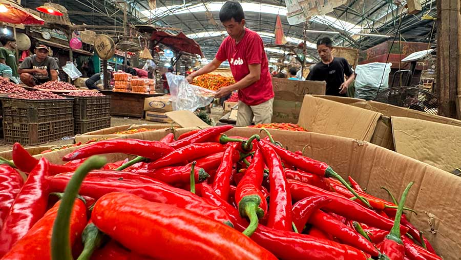 Pemerintah mengungkapkan pasokan bahan pokok mulai menipis akhir-akhir ini .(Bloomberg Technoz/Andrean Kristianto)