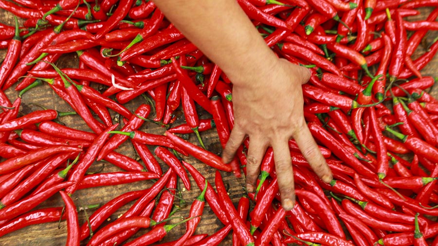 Pedagang merapihkan cabai merah besar di Pasar Kramat Jati, Jakarta, Rabu (10/7/2024). (Bloomberg Technoz/Andrean Kristianto)