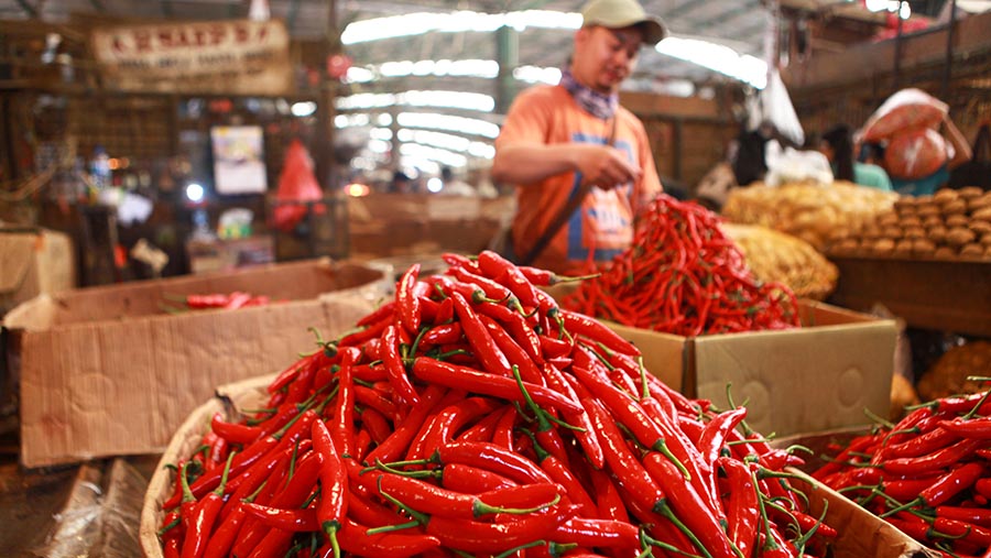 Pedagang merapihkan cabai merah besar dan cabai keriting merah di Pasar Kramat Jati, Jakarta, Rabu (10/7/2024). (Bloomberg Technoz/Andrean Kristianto)