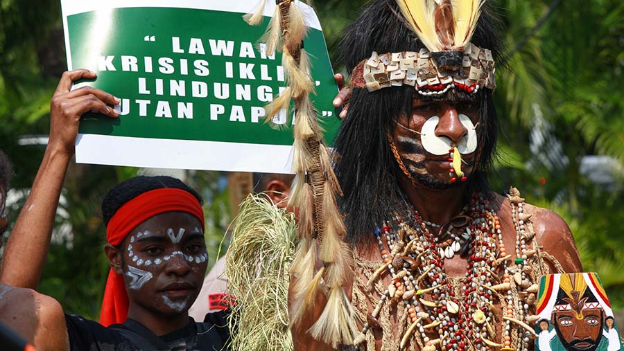 Adanya perusahaan sawit itu dikhawatirkan memicu deforestasi yang akan melepas 25 juta ton CO2e ke atmosfer. (Bloomberg Technoz/Andrean kristianto)