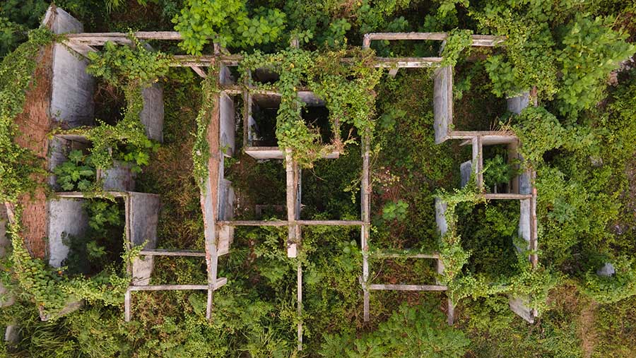 Atap-atap rumah di komplek ini juga banyak yang sudah tak terlihat. (Bloomberg Technoz/Andrean Kristianto)