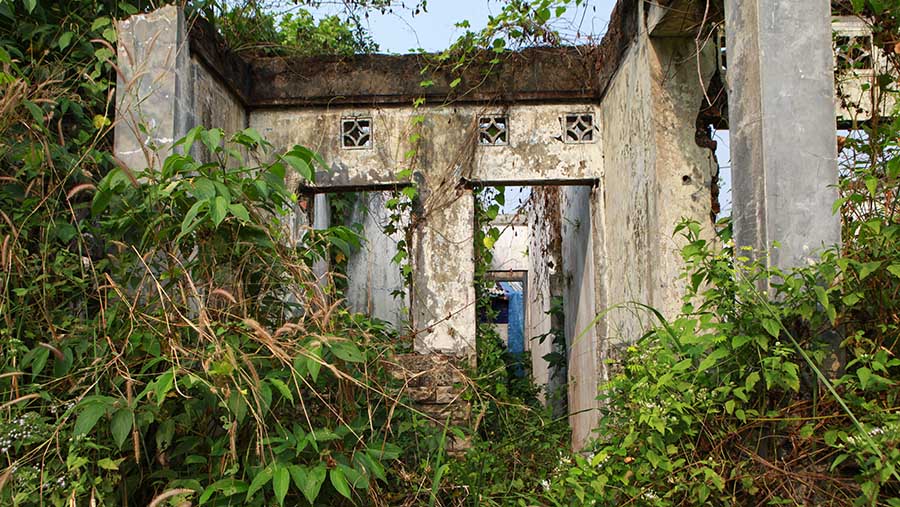 Suasana rumah yang terbengkalai di Perumahan Karawang Baru, Jawab Barat, Rabu (24/7/2024). (Bloomberg Technoz/Andrean Kristianto)