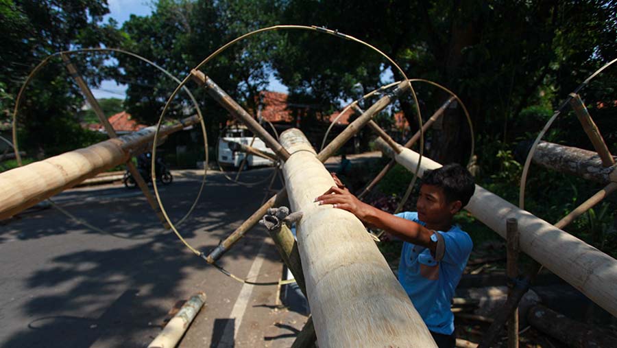 Batang pohon pinang yang digunakan dalam lomba panjat pinang juga mulai ramai dijajakan oleh pedagang. (Bloomberg Technoz/Andrean Kristianto)