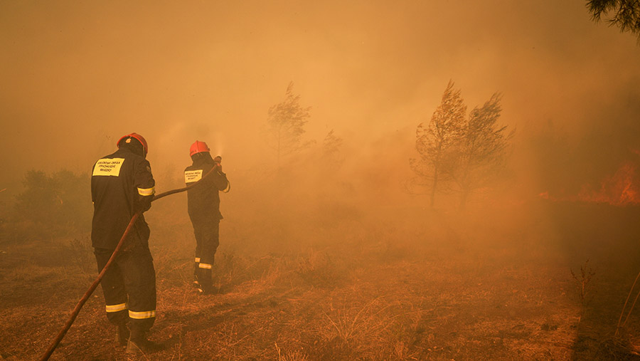 Pemadam kebakaran mengendalikan kebakaran hutan di Attica Timur, timur laut Athena, Yunani, Minggu (11/8/2024). (Nick Paleologos/Bloomberg)