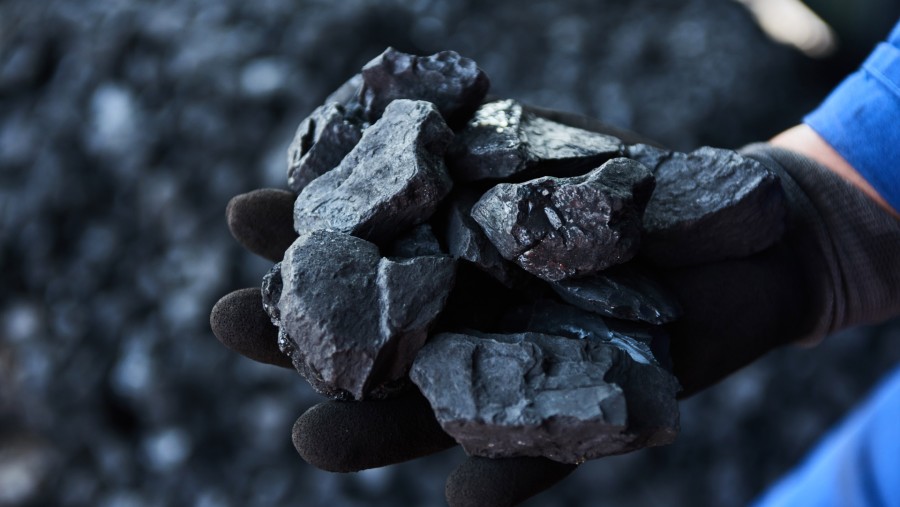 A worker holds a sample of coal. Photographer: Waldo Swiegers/Bloomberg