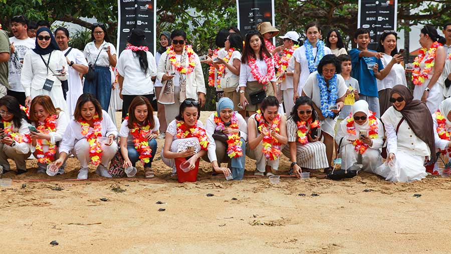 Besok harinya, peserta juga melakukan charity melakukan pelepasan tukik ke Pantai Semawang, Sanur, Bali. (Bloomberg Technoz/Andrean Kristianto)