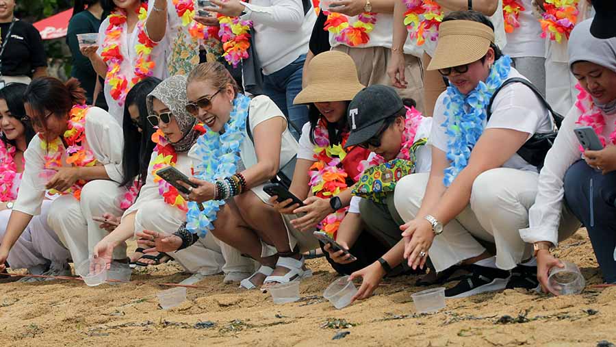 Ratusan tukik dilepaskan oleh peserta ke pantai di kawasan Sanur, Bali. (Bloomberg Technoz/Arie Pratama)